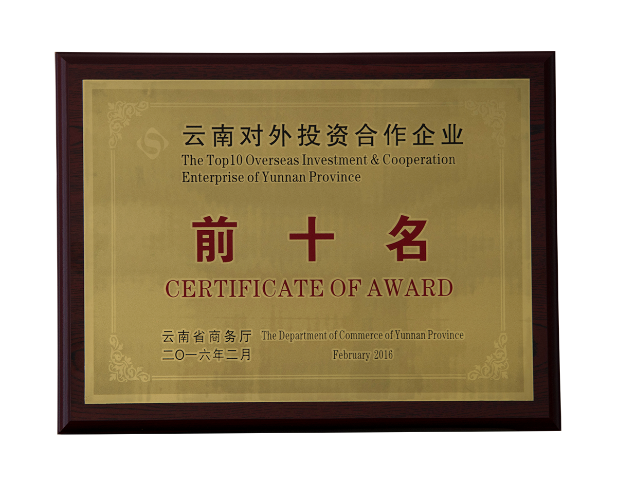 云南对外投资合作企业前十名